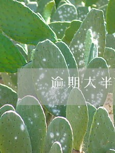 逾期大半年 逾期大半年
