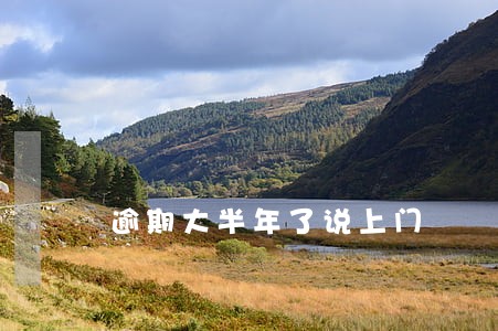 逾期大半年了说上门 逾期大半年了说上门