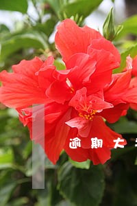 逾期大半年没还信用卡了 逾期大半年没还信用卡了