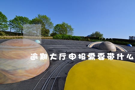 逾期大厅申报需要带什么 逾期大厅申报需要带什么