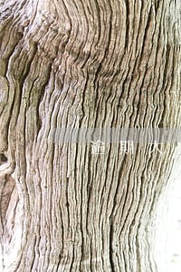 逾期大家是怎么协商的 逾期大家是怎么协商的