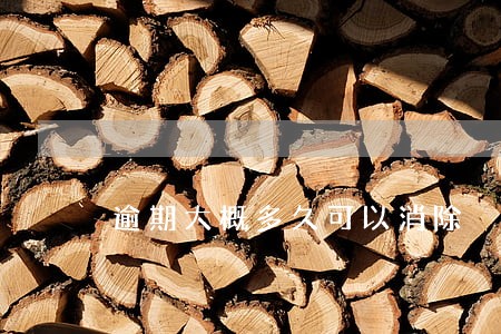 逾期大概多久可以消除 逾期大概多久可以消除