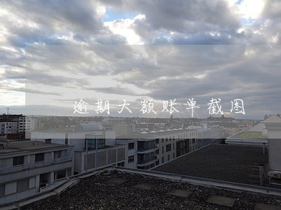 逾期大额账单截图 逾期大额账单截图