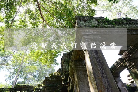逾期天天打电话没接 逾期天天打电话没接