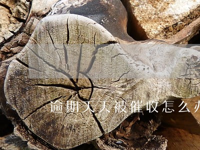 逾期天天被催收怎么办 逾期天天被催收怎么办