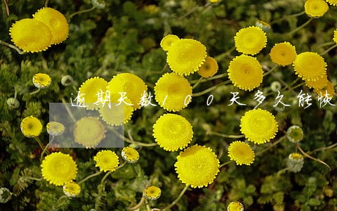 逾期天数100天多久能恢复征信