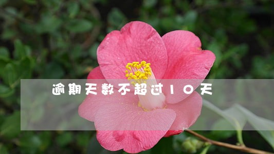 逾期天数不超过10天 逾期天数不超过10天