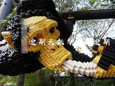 逾期天数与网贷逾期 逾期天数与网贷逾期