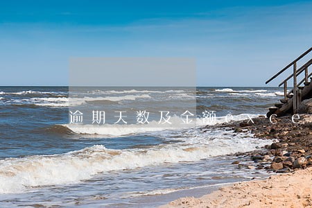 逾期天数及金额excel 逾期天数及金额excel