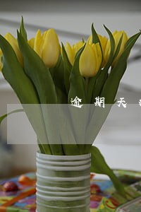 逾期天数和不良贷款关系 逾期天数和不良贷款关系