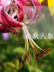 逾期天数如何计算公式 逾期天数如何计算公式