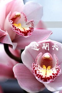 逾期天数币种最新欠款 逾期天数币种最新欠款