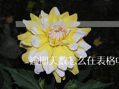 逾期天数怎么在表格中计算 逾期天数怎么在表格中计算