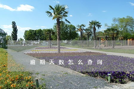 逾期天数怎么查询 逾期天数怎么查询