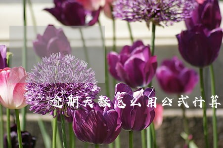 逾期天数怎么用公式计算 逾期天数怎么用公式计算