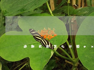 逾期天数怎么计算excel 逾期天数怎么计算excel