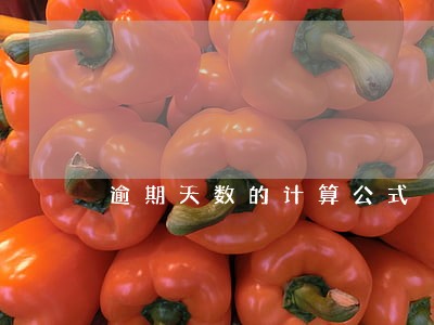逾期天数的计算公式 逾期天数的计算公式