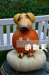 逾期天数计算依据 逾期天数计算依据