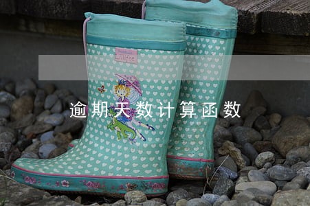 逾期天数计算函数 逾期天数计算函数