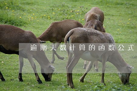 逾期天数计算的函数公式 逾期天数计算的函数公式
