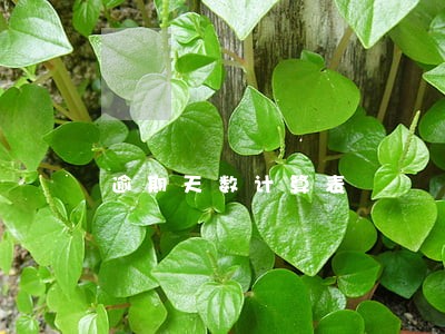 逾期天数计算表 逾期天数计算表