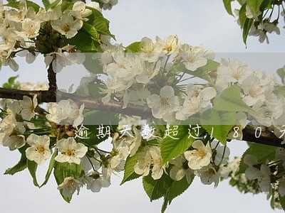 逾期天数超过180天应分类为 逾期天数超过180天应分类为