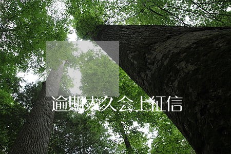 逾期太久会上征信 逾期太久会上征信