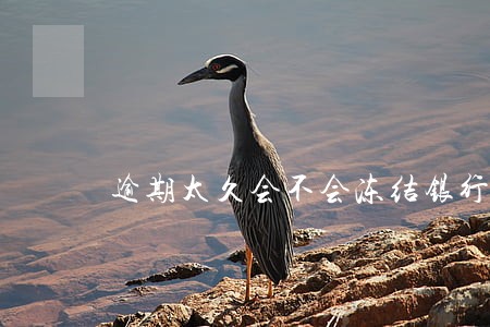 逾期太久会不会冻结银行 逾期太久会不会冻结银行