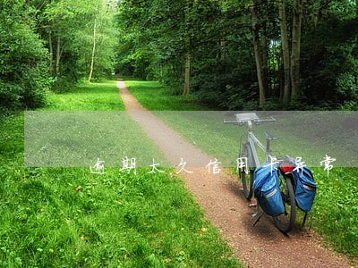 逾期太久信用卡异常 逾期太久信用卡异常