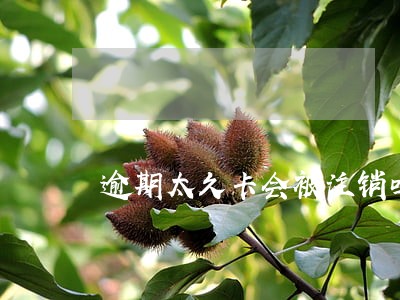 逾期太久卡会被注销吗 逾期太久卡会被注销吗