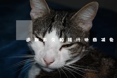 逾期太久和银行协商减免利息 逾期太久和银行协商减免利息