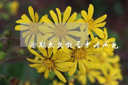 逾期太久能否申请减免 逾期太久能否申请减免