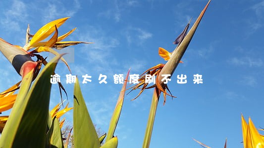逾期太久额度刷不出来
