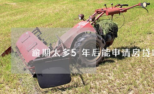逾期太多5年后能申请房贷吗 逾期太多5年后能申请房贷吗