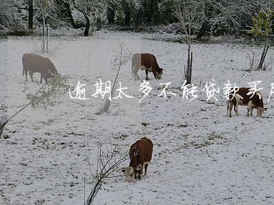 逾期太多不能贷款买房吗 逾期太多不能贷款买房吗