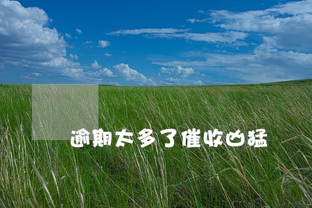 逾期太多了催收凶猛 逾期太多了催收凶猛