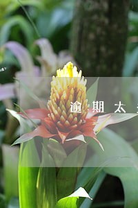 逾期太多了村长联系我了
