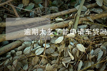 逾期太多了能申请车贷吗