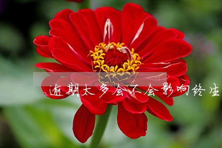 逾期太多会不会影响终生贷款 逾期太多会不会影响终生贷款