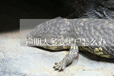逾期太多变黑户怎么办 逾期太多变黑户怎么办