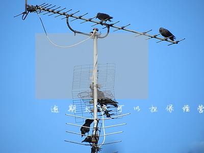 逾期太多可以担保经营贷吗 逾期太多可以担保经营贷吗