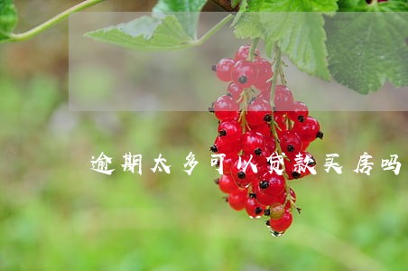 逾期太多可以贷款买房吗 逾期太多可以贷款买房吗
