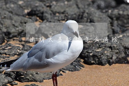 逾期太多征信怎么消除 逾期太多征信怎么消除