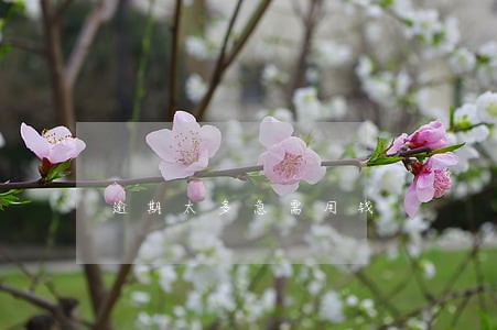 逾期太多急需用钱 逾期太多急需用钱
