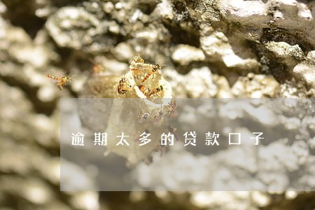 逾期太多的贷款口子 逾期太多的贷款口子