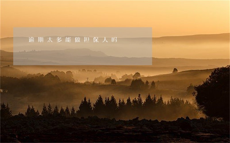 逾期太多能做担保人吗 逾期太多能做担保人吗