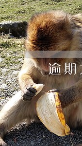 逾期太多贷款办不下来 逾期太多贷款办不下来