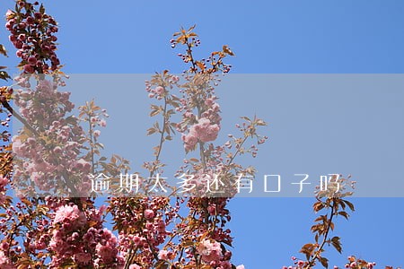 逾期太多还有口子吗 逾期太多还有口子吗