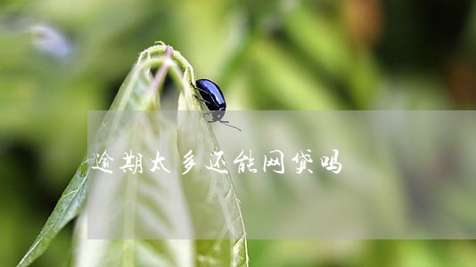 逾期太多还能网贷吗 逾期太多还能网贷吗