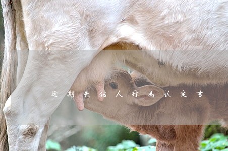 逾期失信人行为认定书 逾期失信人行为认定书
